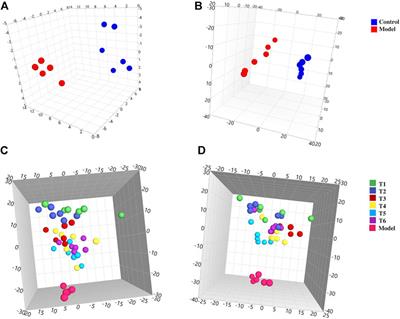 A UPLC-Q-TOF-MS-Based Metabolomics Approach to Screen out Active Components in Prepared Rhubarb for Its Activity on Noxious Heat Blood Stasis Syndrome